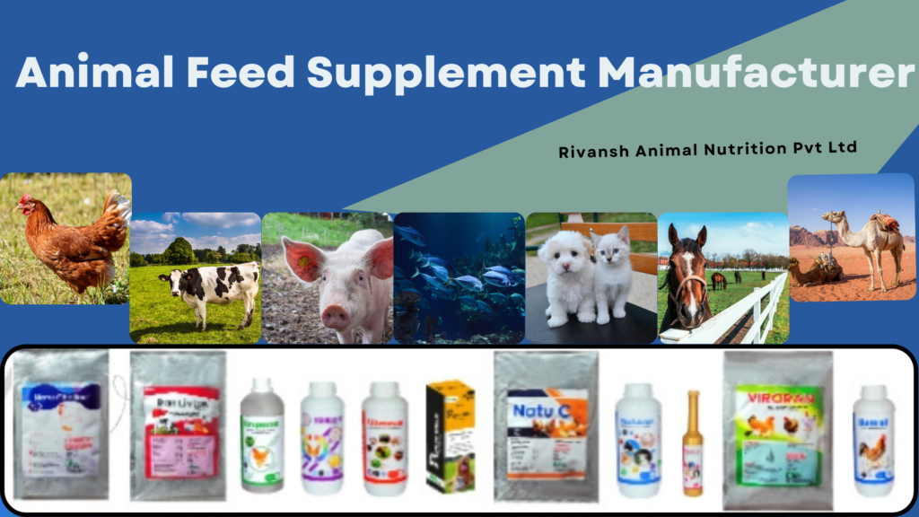 Animal feed supplement manufacturer