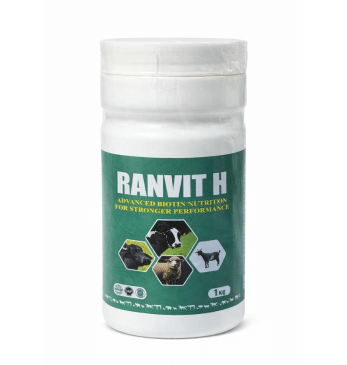 Ranvit H